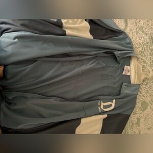 Disneyland Baby Blue XXL spirit jersey zip up!